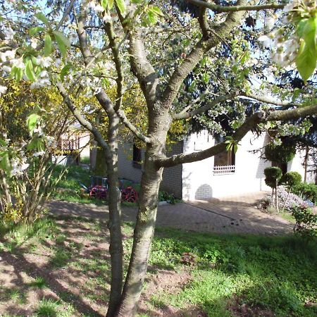 Ferienhaus Santo Villa Nordhausen Exterior photo